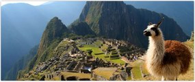 Tablou - Lama și Machu Picchu (120x50 cm)