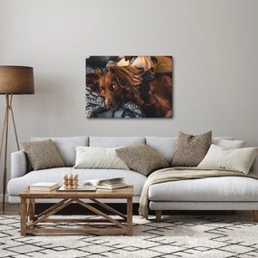 Tablou cu câini dormind (70x50 cm)