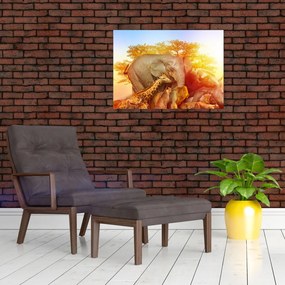 Tablou pe sticlă - Animale africane (70x50 cm)
