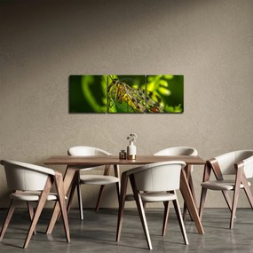 Tablou cu omide (cu ceas) (90x30 cm)