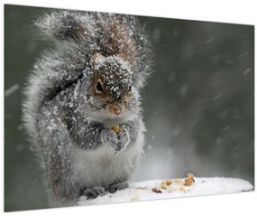 Tablou - Veveriță iarna (90x60 cm)