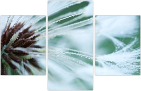 Tablou - Detaliu floare (90x60 cm)