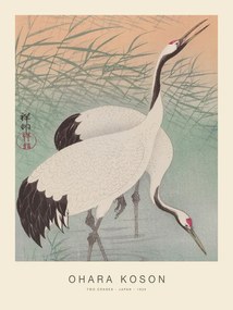 Reproducere Two Cranes (Special Edition) - Ohara Koson