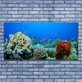 Tablou pe panza canvas Coral Reef Natura Multi