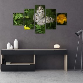 Tablou - fluture alb (125x70 cm), în 40 de alte dimensiuni noi