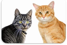 Suport de masa pentru copii 56x37 cm DOGS & CATS Varianta: Pawli