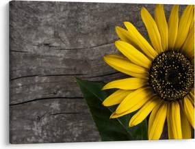 Tablou - Floare de floarea soarelui (70x50 cm)