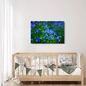 Tablou cu flori albastre (90x60 cm)