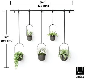 Ghivece decorative 5 buc. din plastic pentru ierburi aromatice/de agățat / de perete ø 7,5 cm Triflora – Umbra
