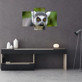 Tablou cu lemur (90x60 cm)