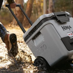 Lada frigorifica Ninja FrostVault FB230EUGY, 28 l, Pasiva, 48 doze, Pastreaza gheata pana la 5 zile, Compartiment uscat, Roti, Gri