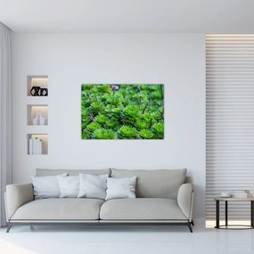 Tablou - Aloe (90x60 cm)