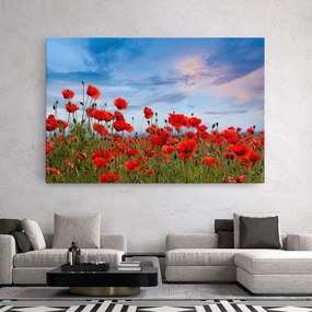 Tablou Canvas, 20x30cm, Dormitor si Living, Flori, Maci, Poppy Field