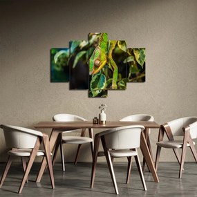 Tablou cu cameleon (150x105 cm)