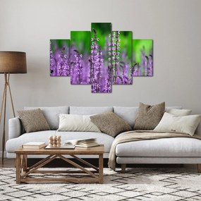Tablou cu flori de luncă violete (150x105 cm)