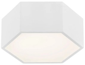 Plafonieră LED ARIZONA LED/9W/230V albă Argon 3828