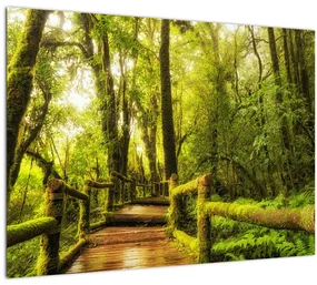 Tablou junglei cu mușchi (70x50 cm)