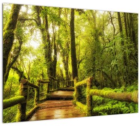 Tablou junglei cu mușchi (70x50 cm)