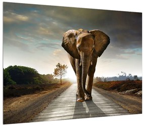 Tablou cu elefant (70x50 cm), în 40 de alte dimensiuni noi