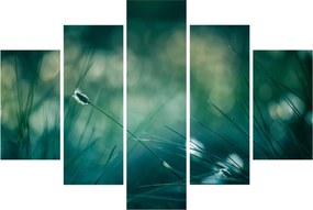 Tablou - Detaliu iarbă (150x105 cm)