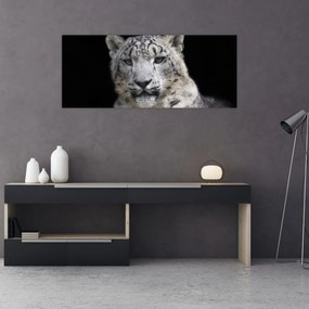 Tablou - Snow Leopard (120x50 cm)