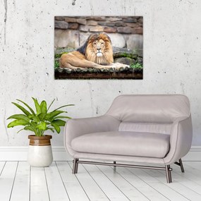 Tablou pe sticlă cu leu (70x50 cm)