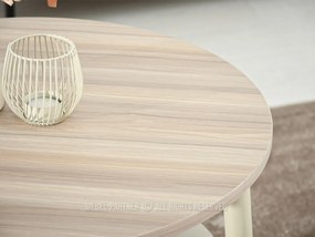 Masă de cafea Randolf S (bej cenușiu + crem). 1111693