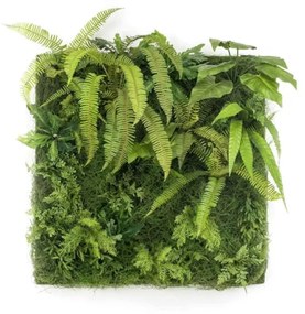 Perete artificial - Living Wall - 100 x 100 cm