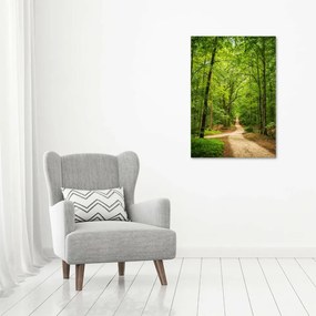 Fotografie imprimată pe sticlă Calea în pădure