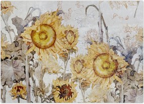 Tablou - Floarea-soarelui pe perete (70x50 cm)