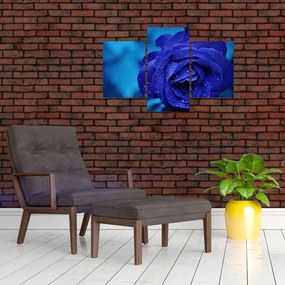 Tablou cu trandafir albastru (90x60 cm)