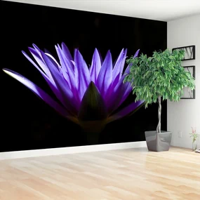 Fototapet Purple Lotus