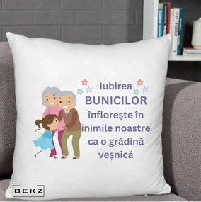 Cadou pentru Bunici - Perna Personalizata Bunicii Iubirea Infloreste Bunici cu Nepoata Colorat, 40x40 cm, Alb Pufos, Husa Detasabila, Perna Inclusa, BEKZ®