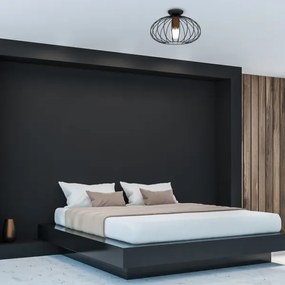 Plafonieră MERIDIANO 1xE27/60W/230V