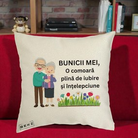 Cadou pentru Bunici - Perna Personalizata Bunicii Mei Comoara Cuplu Senior cu Flori Colorat, 40x40 cm, Ecru, Husa Detasabila, Perna Inclusa, BEKZ®