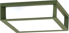 Aplica perete sau tavan de exterior IP44 HENRY verde