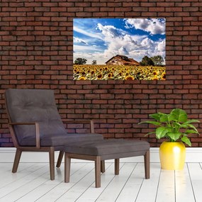 Tablou cu câmp de floarea soarelui (90x60 cm)