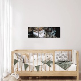 Tablou cu pisica (cu ceas) (90x30 cm)