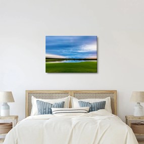 Tablou cu lunca (70x50 cm)
