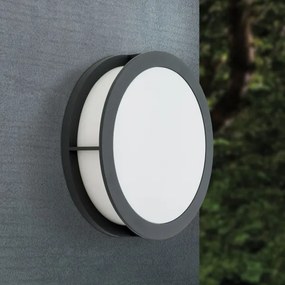 Orion - Aplică de exterior HENRY, 2xE27/15W/230V, Ø 30 cm, IP44, antracit