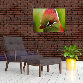 Tablou cu pasărea colorată (70x50 cm)