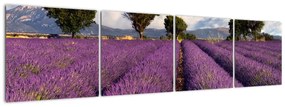 Tablou - lavanda câmp (160x40cm)