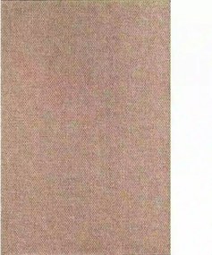 Covor RUSTICANA, 120x180 cm, forma dreptunghiulara, polipropilena, bej