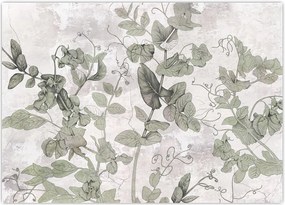 Tablou - Plante in ipsos (70x50 cm)