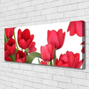 Tablou pe panza canvas Lalele Floral Red