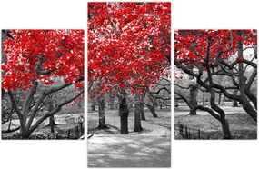 Tablou - Copaci roșii, Central Park, New York (90x60 cm)