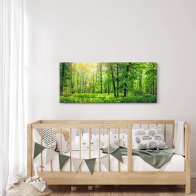 Tablou - Pădurea cu frunze de primăvară (120x50 cm)