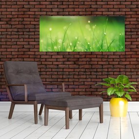 Tablou - roua pe iarbă (120x50 cm)