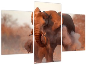 Tablou - Marele elefant african (90x60 cm)