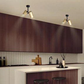 Spot Brilagi SELE VERTICAL 2xGU10/30W/230V negru/auriu